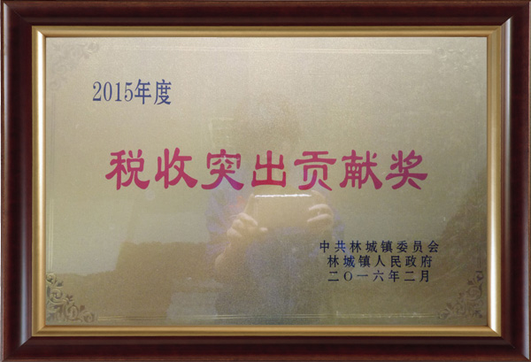 2015年度稅收突出貢獻獎