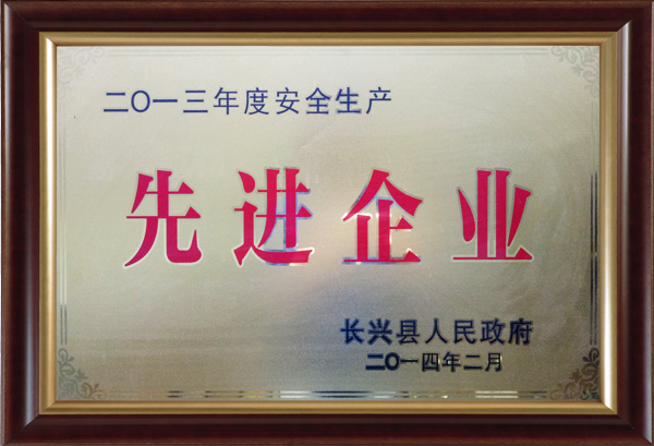 2013年度安全生產(chǎn)先進企業(yè)